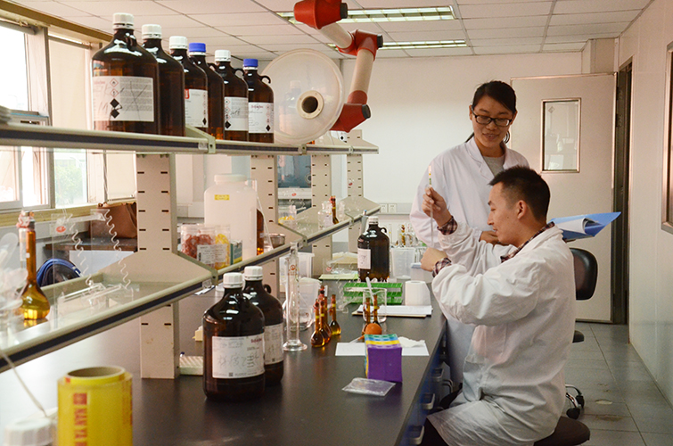 Preparing Reference Substance Solution